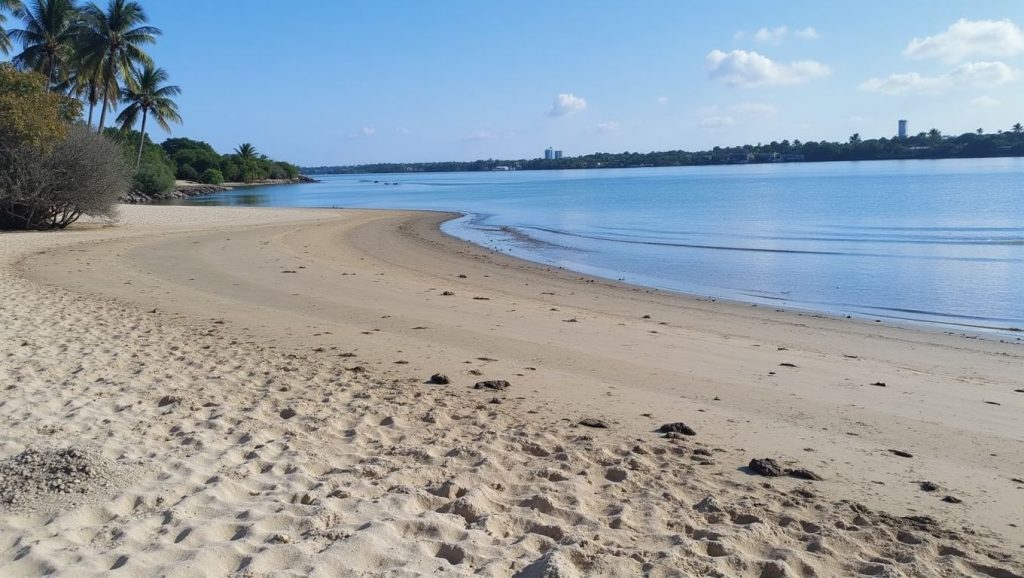 Playa La Bocana (Guerrero, México) — foto 4