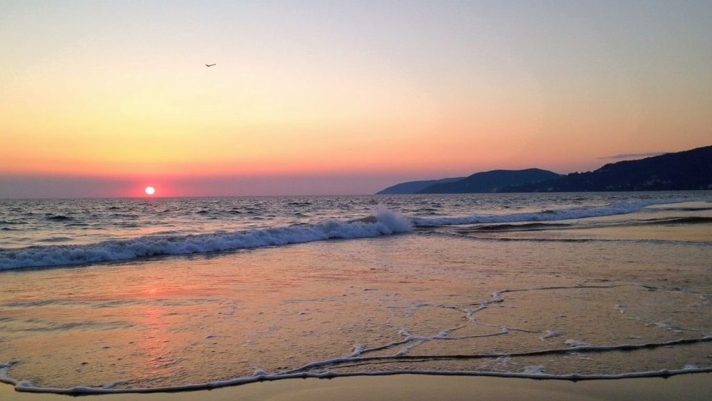 Playa Larga Zihuatanejo (Guerrero, México) — foto 3