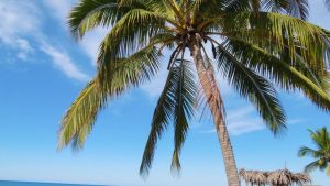 Playa Lo de Marcos