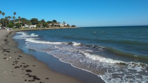 Playa Oasis