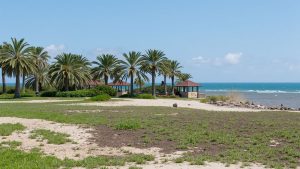 Playa Palmarito