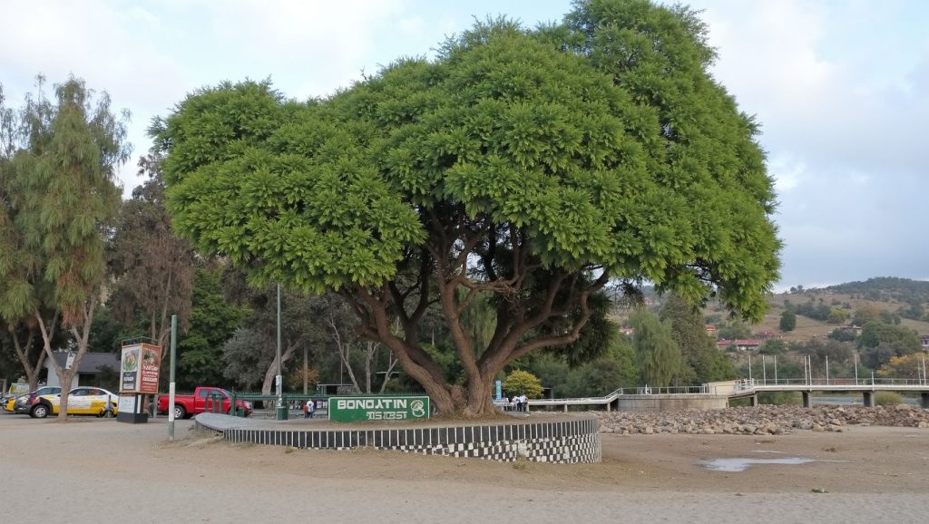 Porto Ferreira (Boa Vista, Cabo Verde) — foto 2
