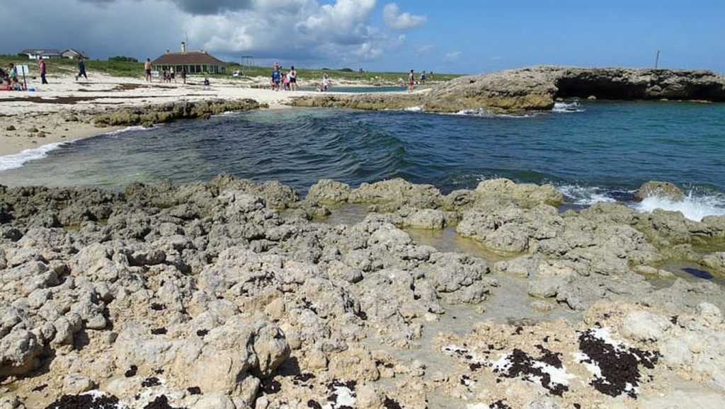 Playa Punta Morena (Cozumel, México) — foto 4