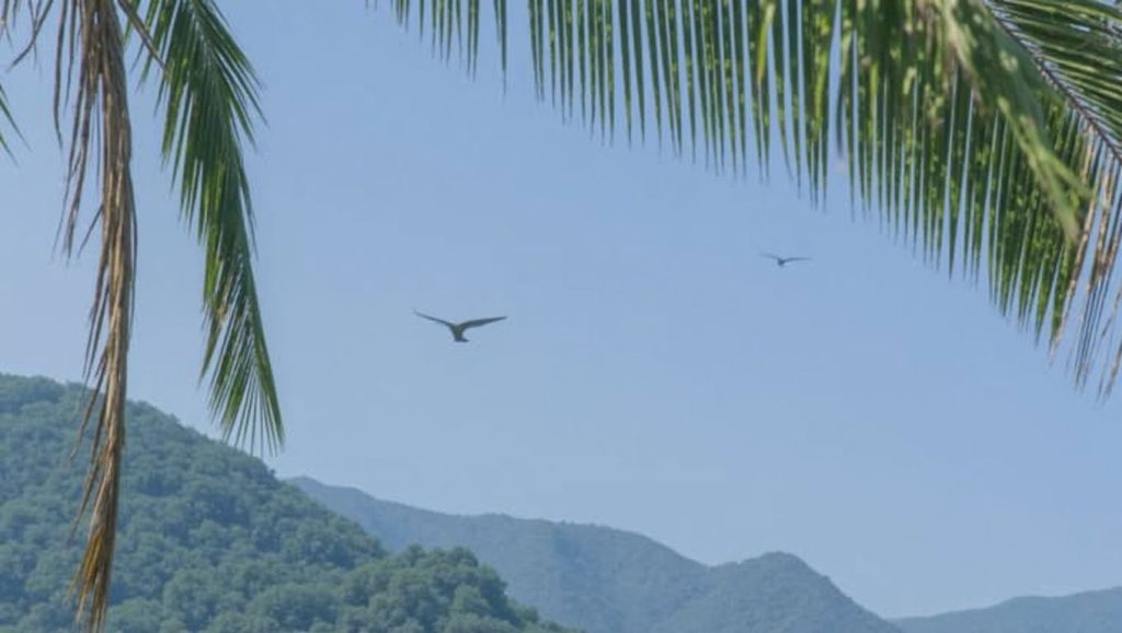 Playa Quimixto (Puerto Vallarta, México) — foto 2