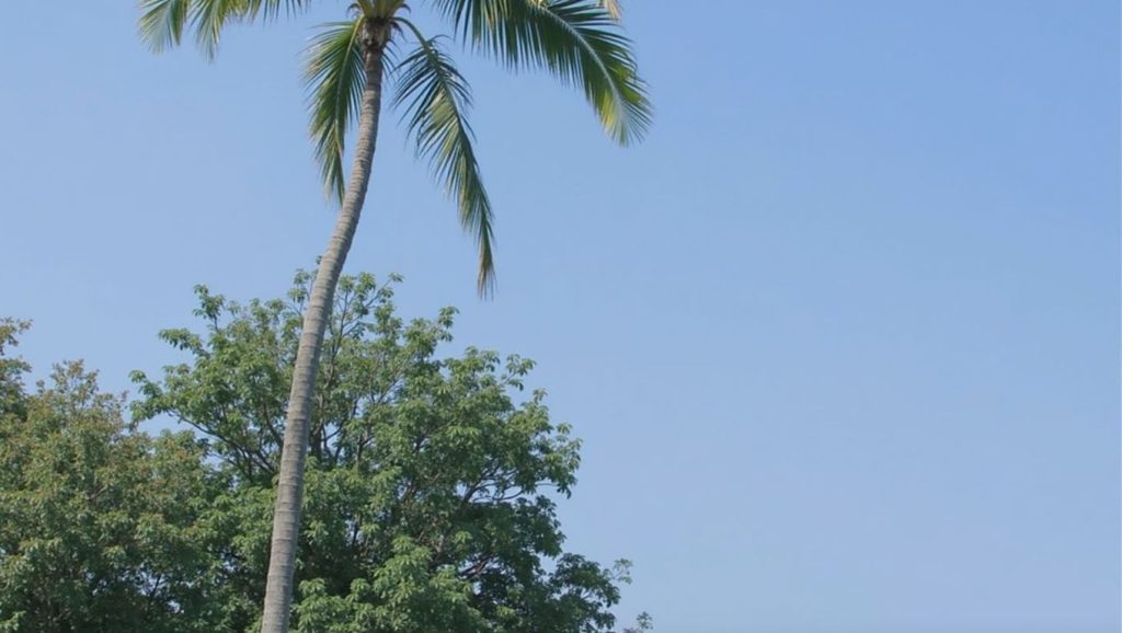 Playa Quimixto (Puerto Vallarta, México) — foto 6
