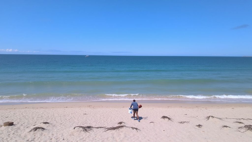 Playa San Carlos (Guaymas, México) — foto 4