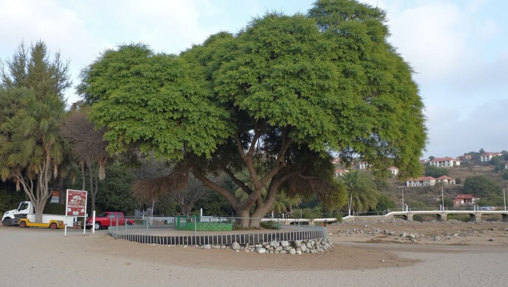 Praia São Tomé (Santiago, Cabo Verde) — foto 2