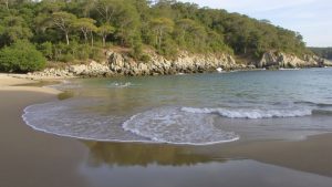 Playa Tejoncito