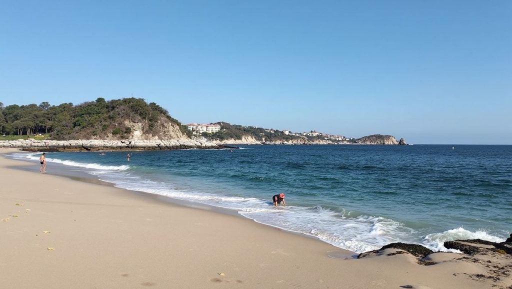 Playa Tierra Blanca (Oaxaca, México) — foto 6
