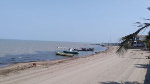 Playa Vicente