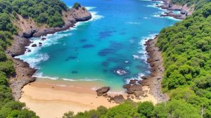 Playa Violín
