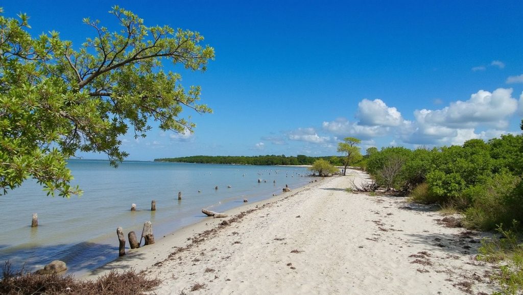 Punta Mosquito (Holbox, México) — foto 2