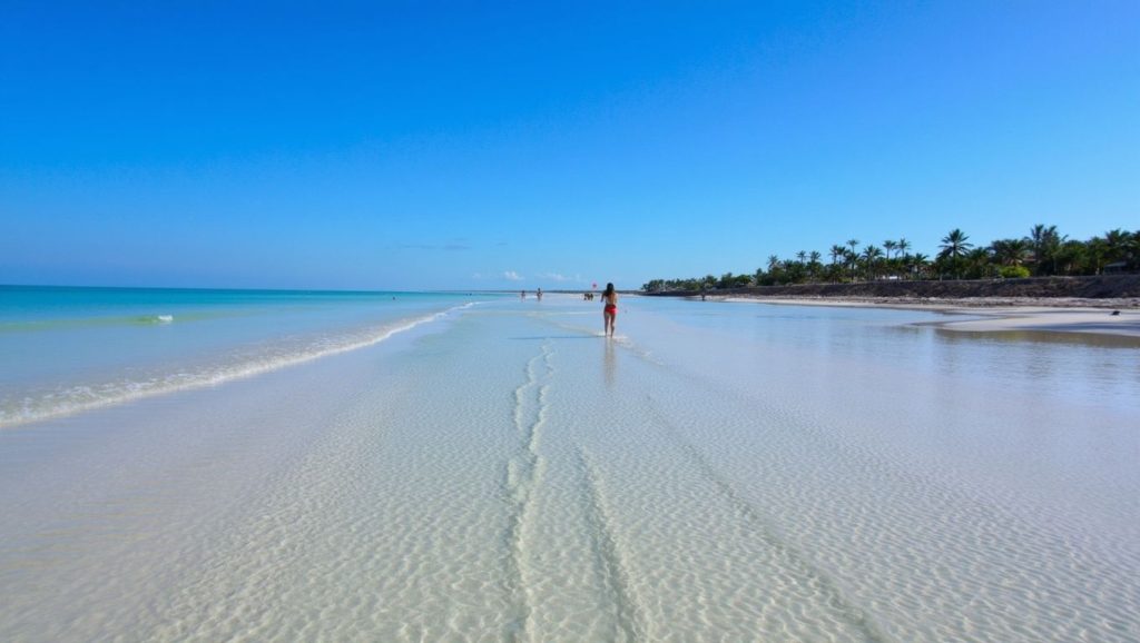 Punta Mosquito (Holbox, México) — foto 4