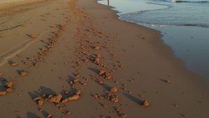 Punta Yameto