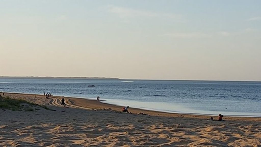 Punta Yameto (Culiacán, México) — foto 6