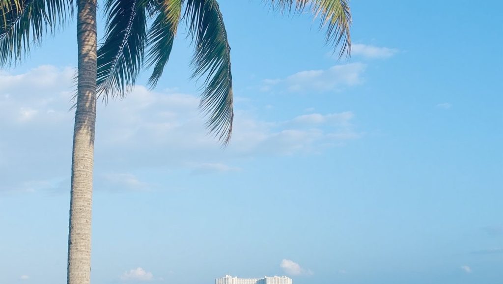 Warry Head Beach (Costa Maya, México) — foto 4