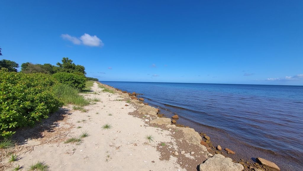 Warry Head Beach (Costa Maya, México) — foto 6