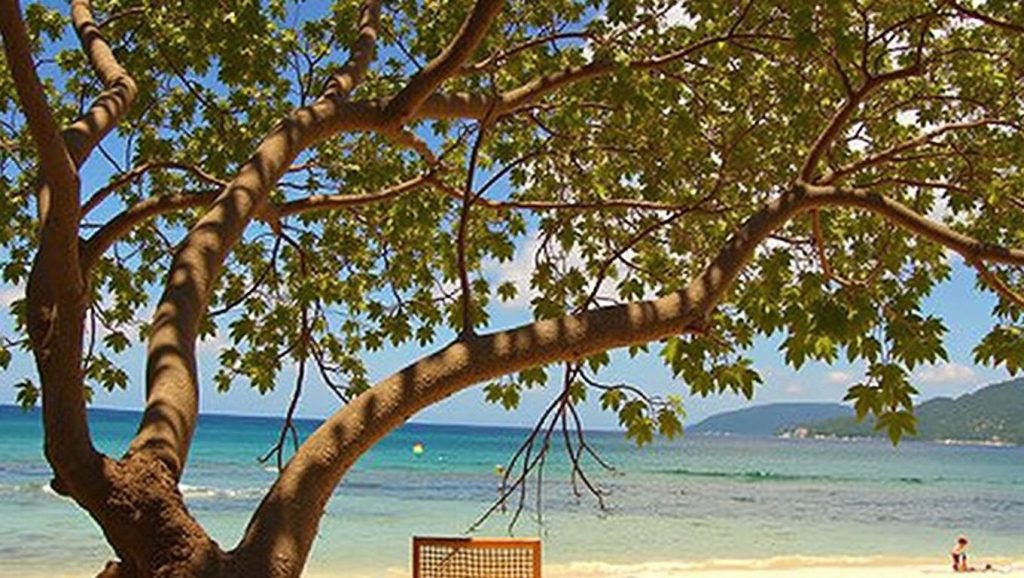 Calumbuyan Beach (Oeste de Busuanga, Coron, Palawan, Filipinas) — foto 4