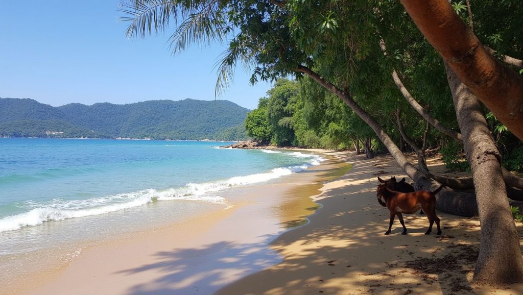 Hua Beach (Kamala, Phuket, Tailandia) — foto 6