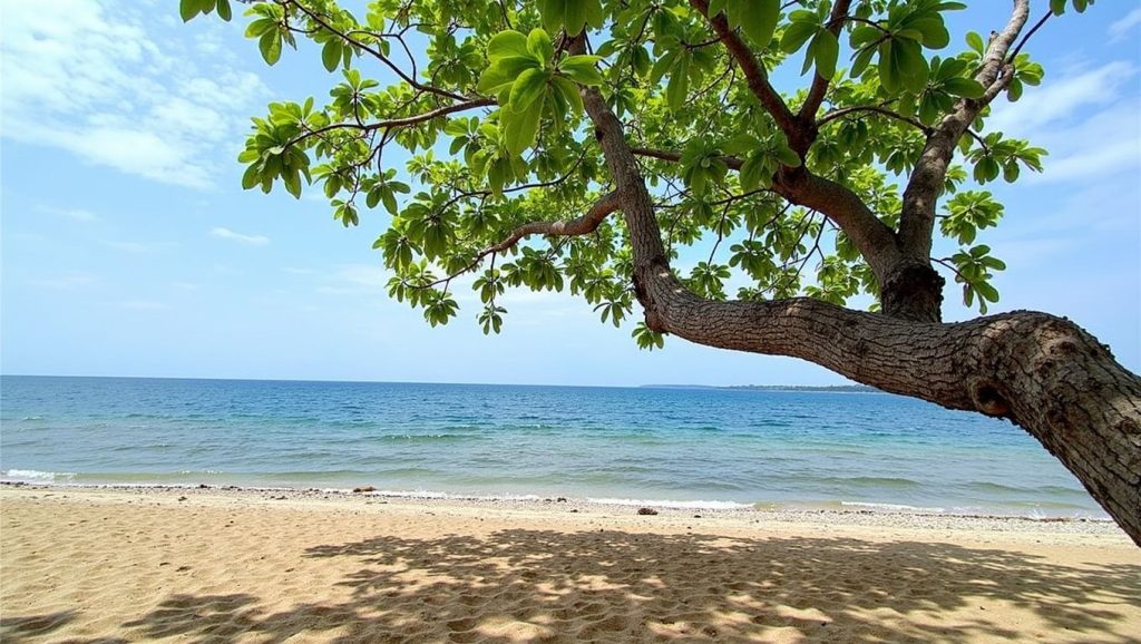 Kho Kwang Beach (Este de Phuket, Phuket, Tailandia) — foto 4