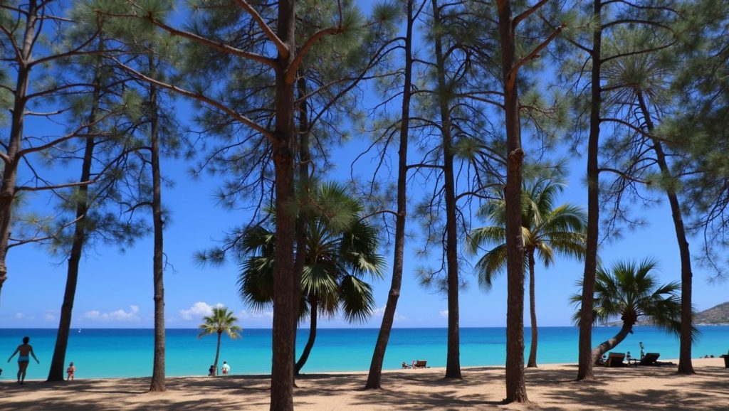 Layan Beach (Oeste de Phuket, Phuket, Tailandia) — foto 3