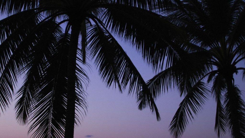 Mai Phai Beach (Este de Phuket, Phuket, Tailandia) — foto 3
