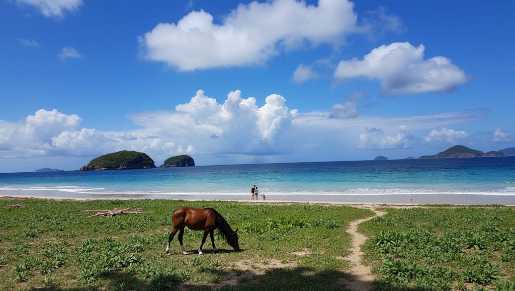Nacpan Beach (Nacpan-Duli, El Nido, Palawan, Filipinas) — foto 1