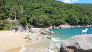 Nui Beach (Sur de Phuket, Phuket, Tailandia)