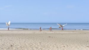 Playa Antón Lizardo