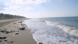 Playa Barra de Tupilco