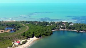 Playa El Bosque