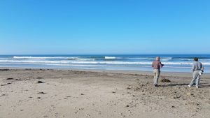 Playa Mata de Uva