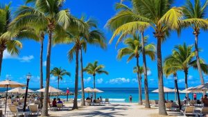 Playa Palmeras