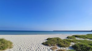 Playa Progreso