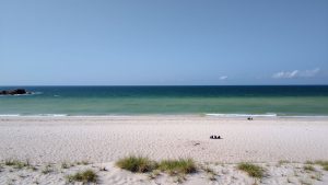 Playa Telchac Puerto