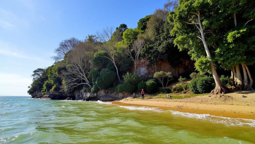 Rantee Beach (Este de Phi Phi Don, Koh Phi Phi, Krabi, Tailandia) — foto 4