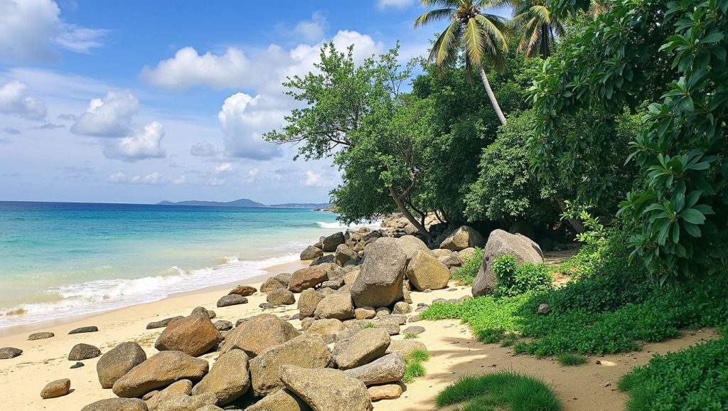 Rantee Beach (Este de Phi Phi Don, Koh Phi Phi, Krabi, Tailandia) — foto 5