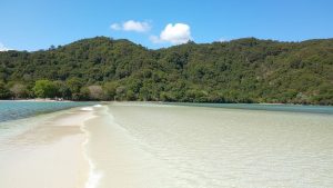 Snake Island